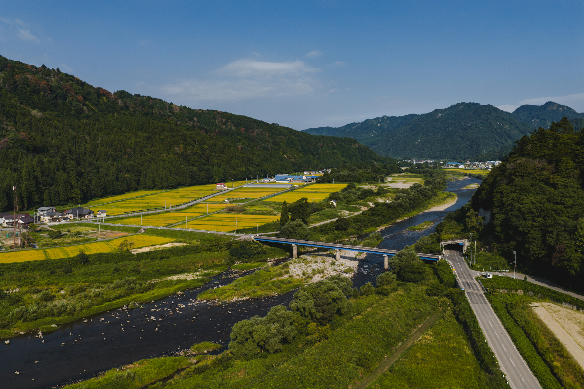 5分でわかる「ねっかのねっこ」